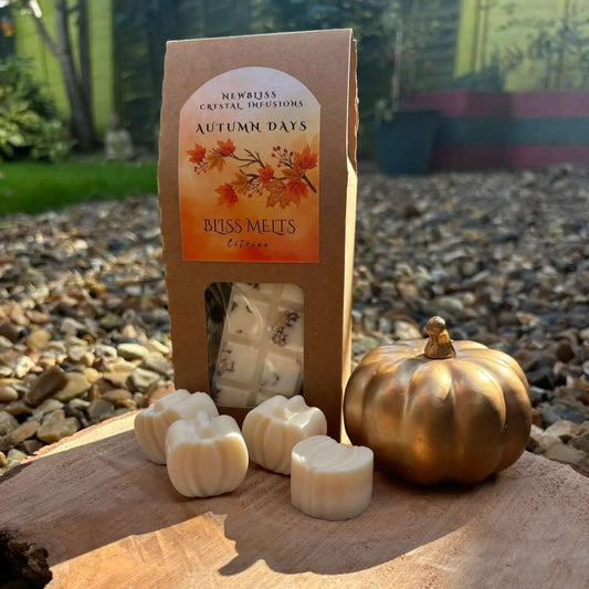 Autumn Days Wax Melts~Citrine and Heather infused