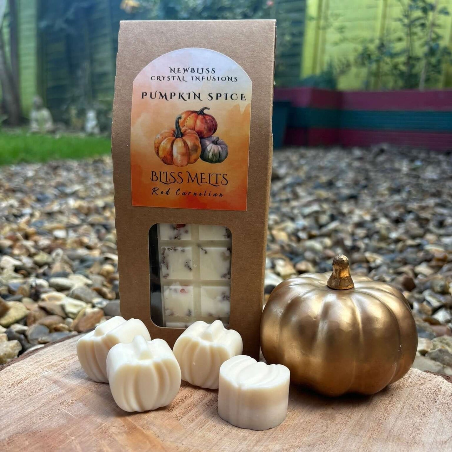 Pumpkin Spice Wax Melts~ Red Citrine & Heather infused